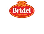 logo Bridel